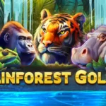 Rainforest Gold Slot